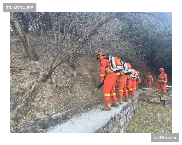 森林防守稳定性不足,空中对抗成功率有待提升 森林防守稳定性不足,空中对抗成功率有待提升
